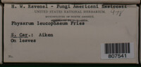 Image Associated With the Occurence